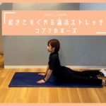 【朝ストレッチ】起きてすぐやる温活ストレッチ！コブラのポーズ｜ヨガ